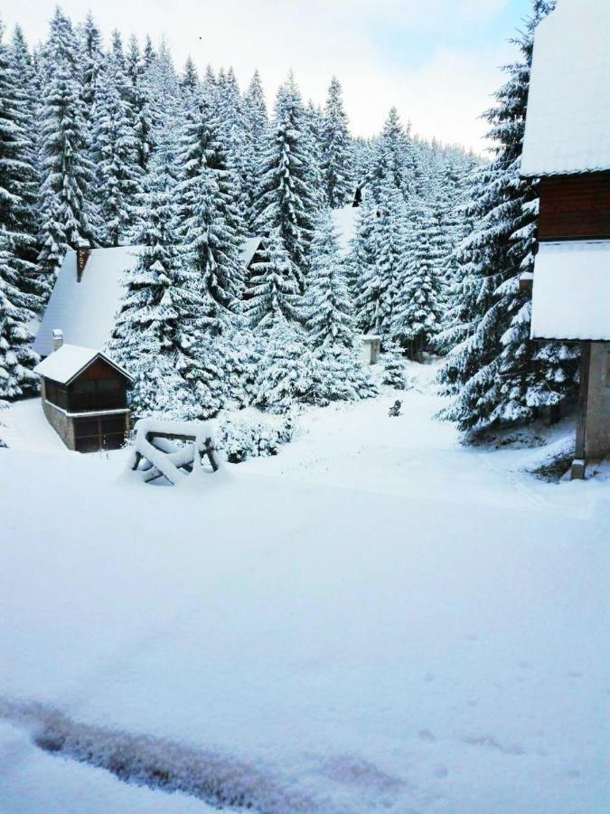 Ferienwohnung Apartman Hasen Vlašić Exterior foto